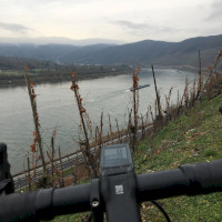 Die grosse Rheinschleife bei Boppard