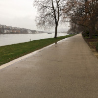 Laufen in den Rheinanlagen bei Koblenz