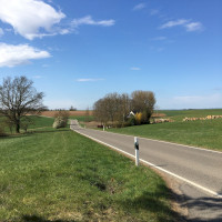 Abzweig zum Ausoniusstein bei Lehmen