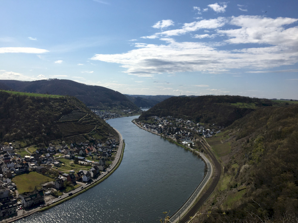 Blick über die Mosel bei Lehmen
