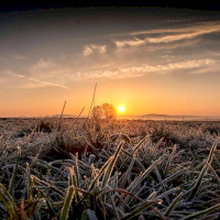 Eifellandschaft bei Münstermaifeld