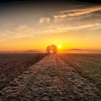 Zwischen Metternich und Münstermaifeld in der Eifel