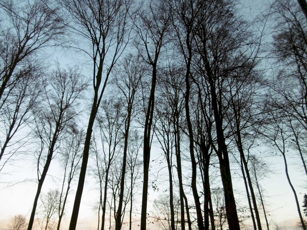 Natural Sportshub Koblenz