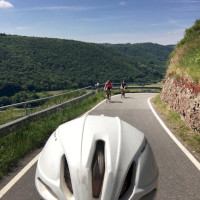 Vier-Tälertour an der Mosel