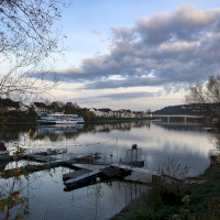 Rheinpfad mit Blick auf die Insel Niederwerth bei Vallendar