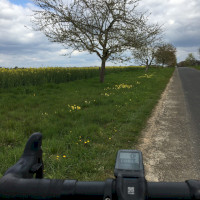 Windhäuser Höfe in der Eifel