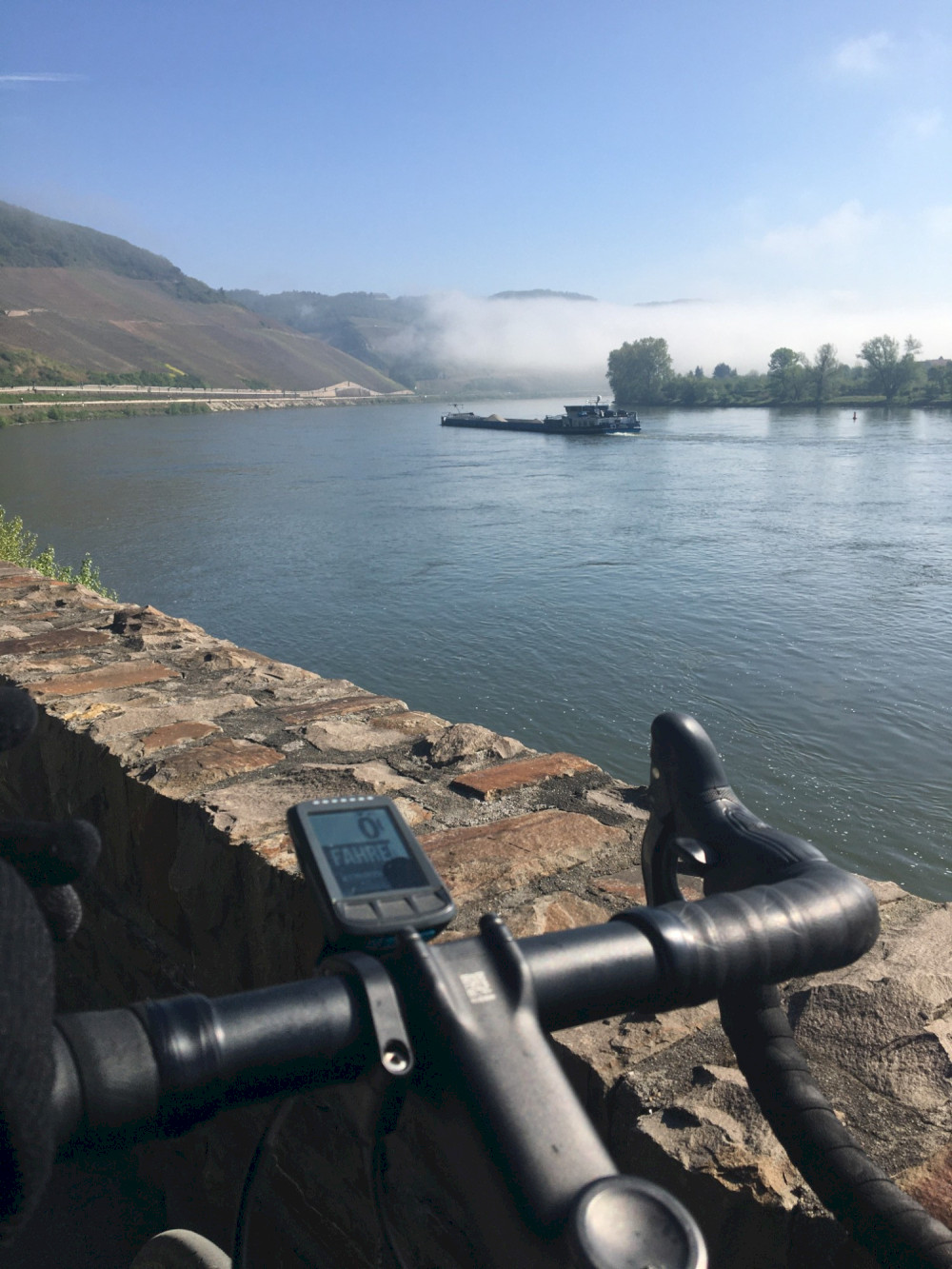 Am Bopparder Hamm bei Boppard