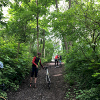 Schottern durch den Wald zur Festung Ehrenbreitstein