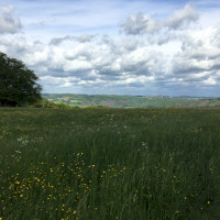 Ausblick bei Elsbach über den Naturpark Rhein-Westerwald