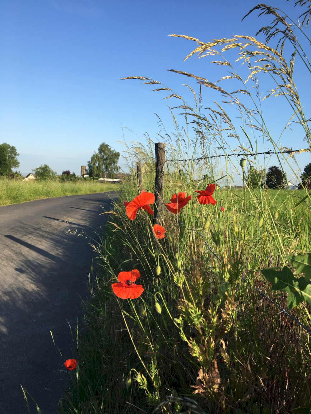 Mühlental Ortsteil Koblenz Arenberg