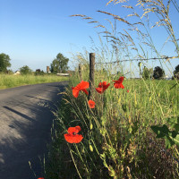 Mühlental Ortsteil Koblenz Arenberg