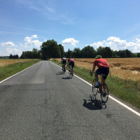 Auf dem Weg zurück zur Mosel