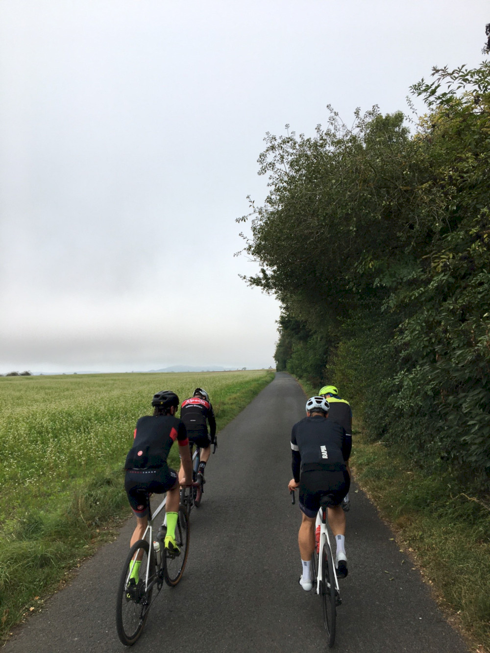 Noch ist es nebelig auf dem Weg von Andernach in die Eifel