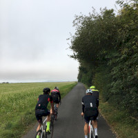 Noch ist es nebelig auf dem Weg von Andernach in die Eifel