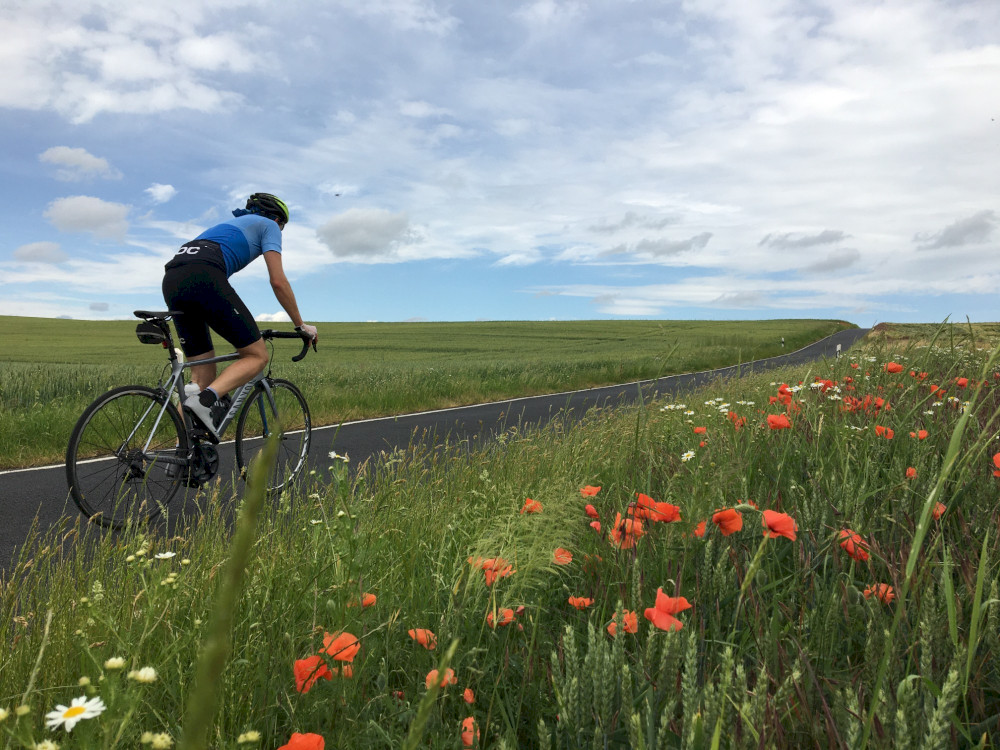 Natural Sportshub Koblenz