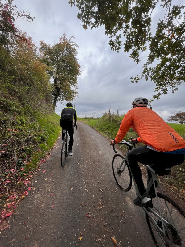 Anstieg zum Feller Hof bei Niederfell an der Mosel