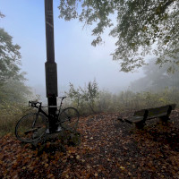 Ausblick Kühkopf im Koblenzer Stadtwald
