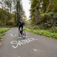 Aspelbachtal bei Niederfell an der Mosel