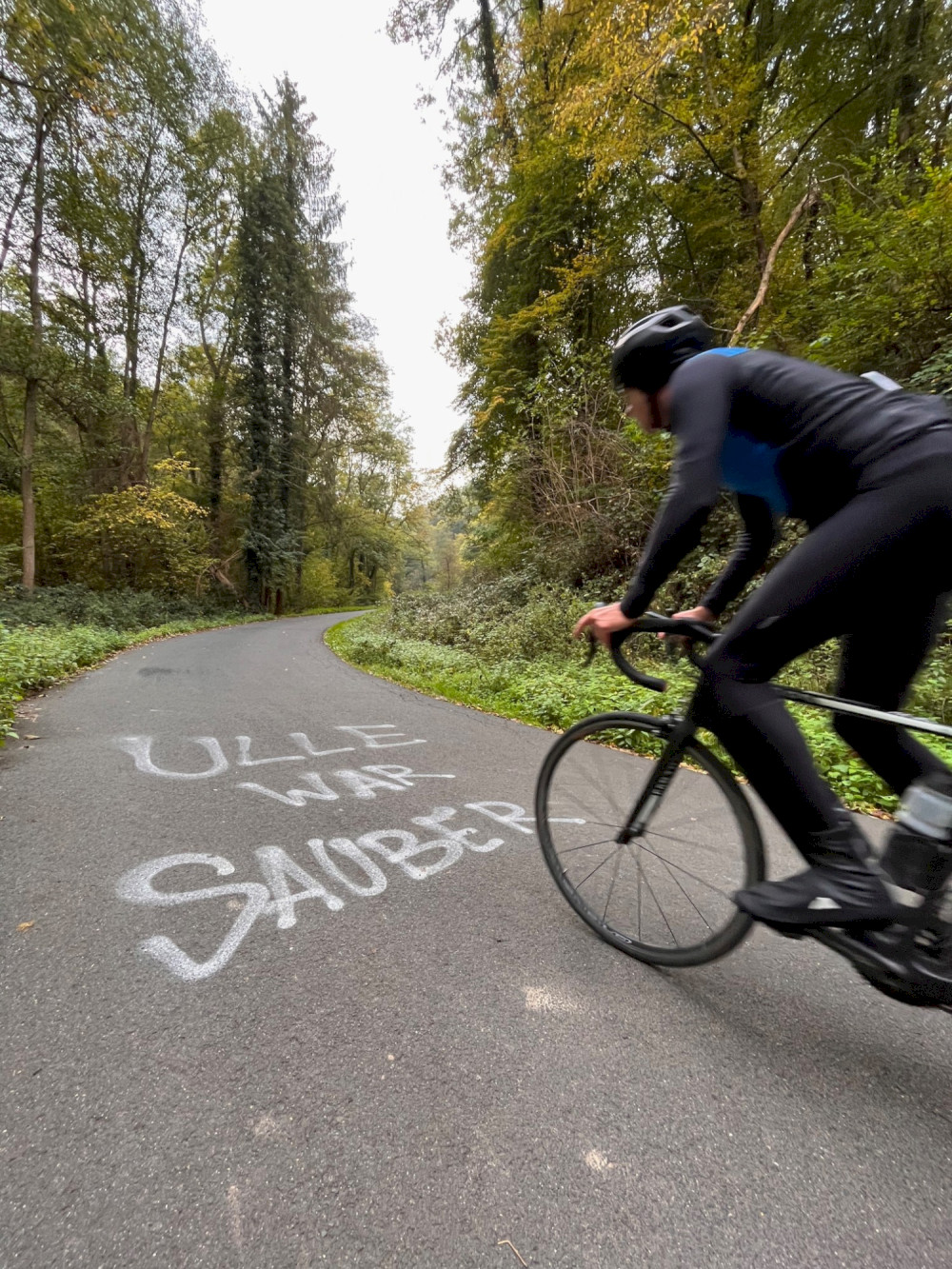 Ulle war sauber auf der Straße im Aspelbachtal bei Niederfell an der Mosel