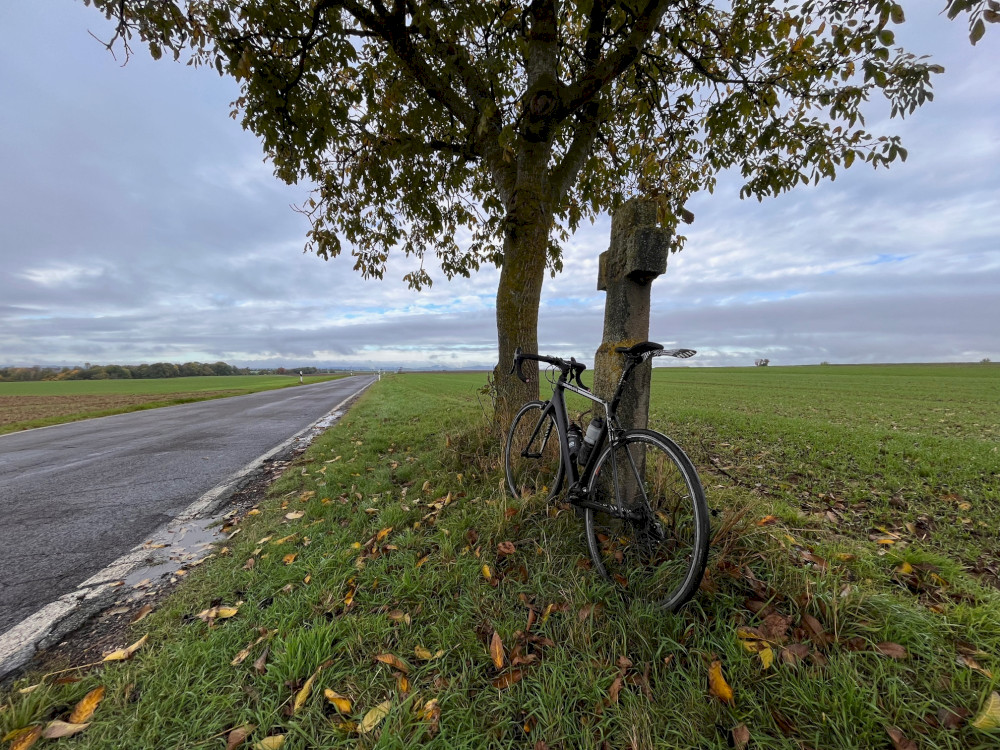 Über weite Flächen von Löf nach Mörz in der Eifel