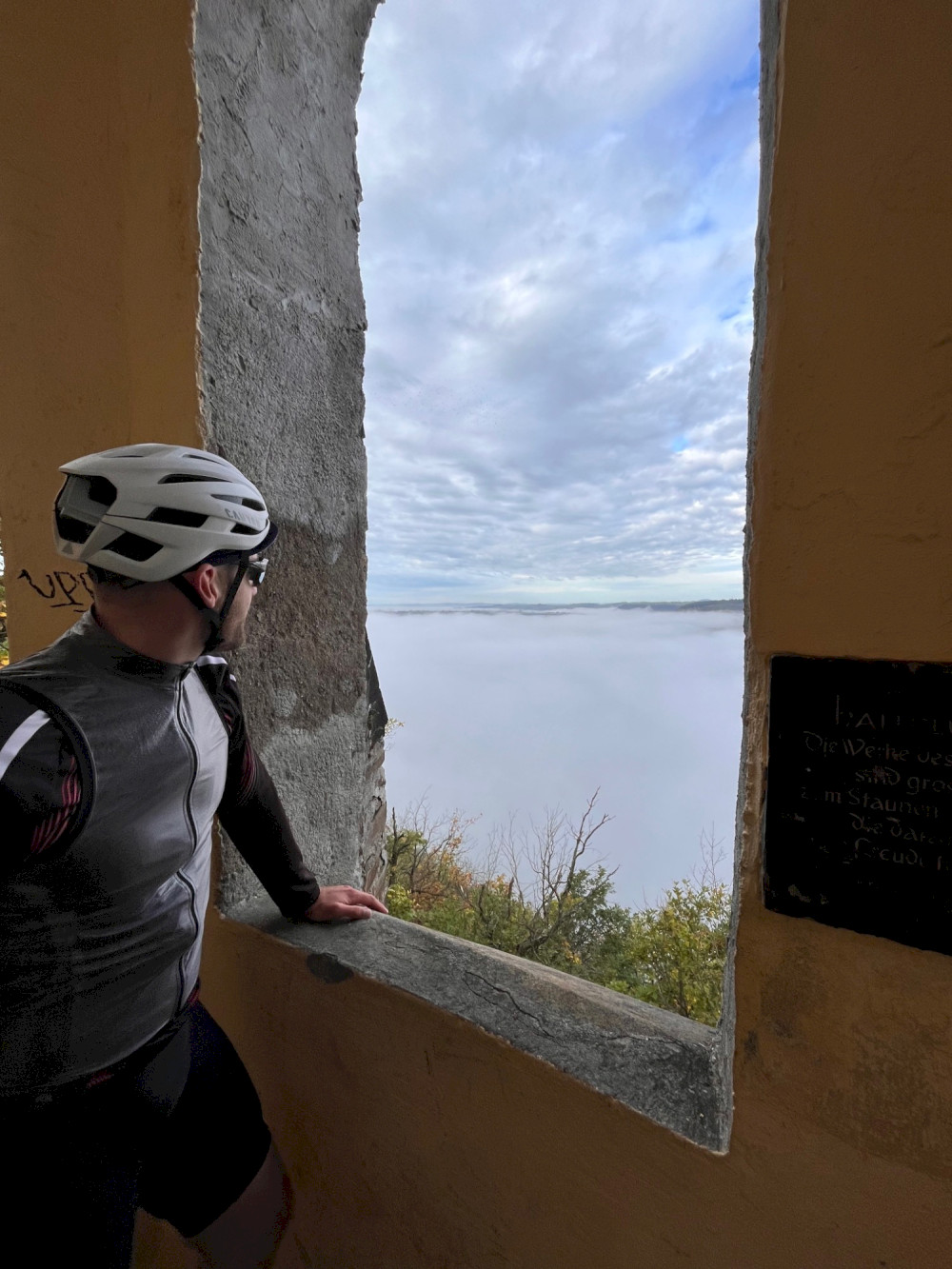 Blick vom Layer Berg auf das Moseltal