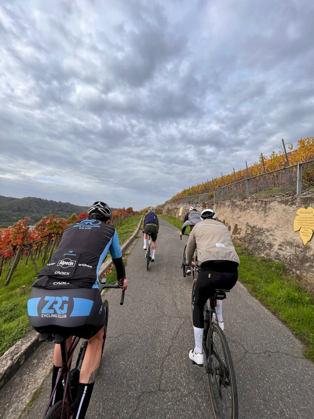 Natural Sportshub Koblenz