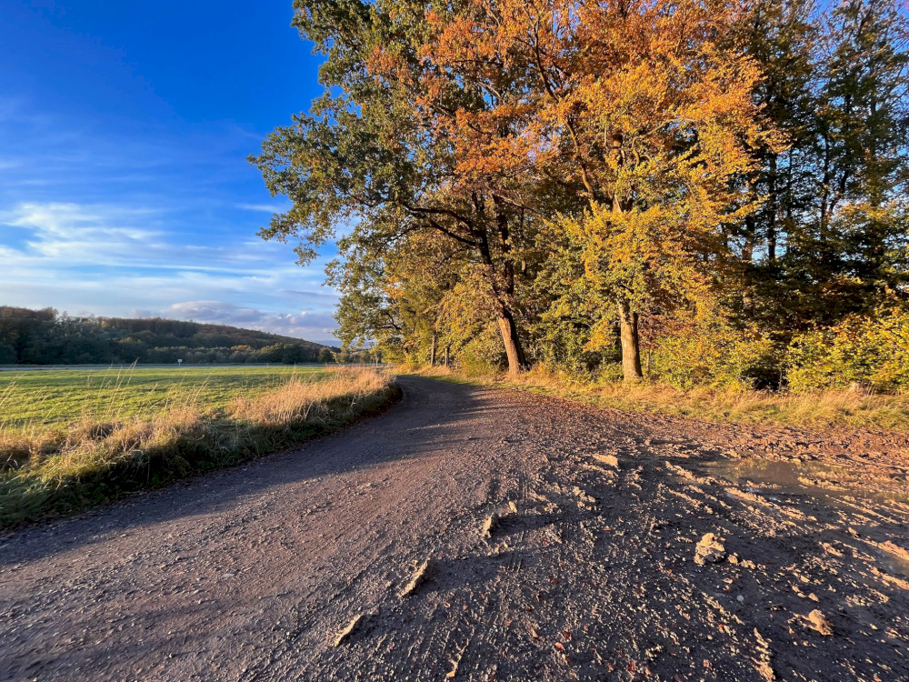 Natural Sportshub Koblenz