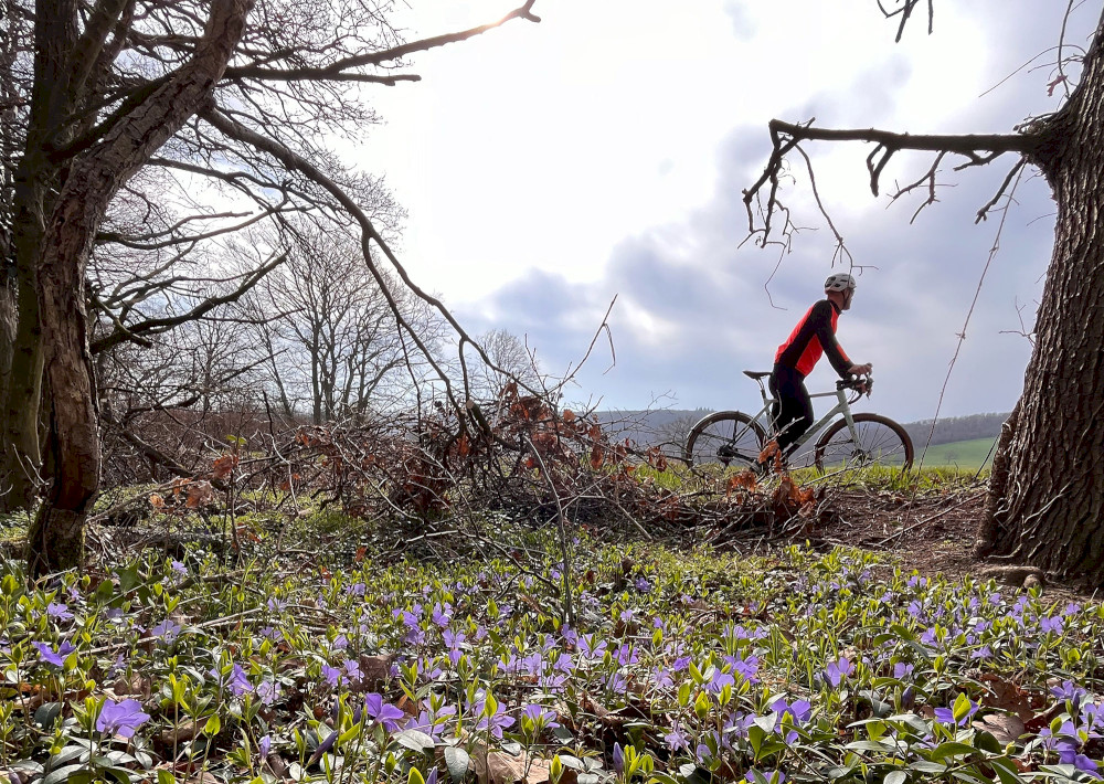 Natural Sportshub Koblenz