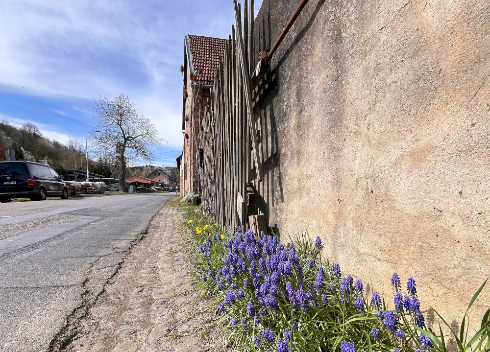 Natural Sportshub Koblenz