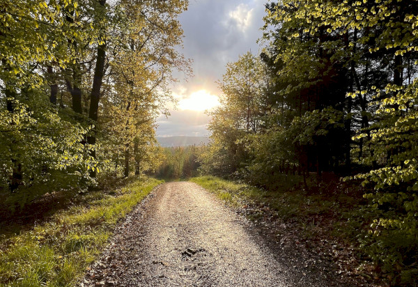 Über den Dommelsberg zum Remstecken
