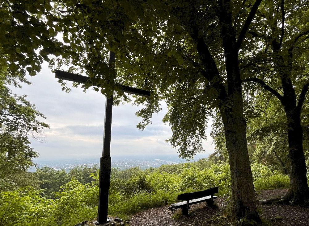 Natural Sportshub Koblenz