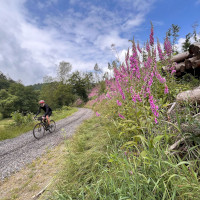 Orbit360 Rheinland-Pfalz