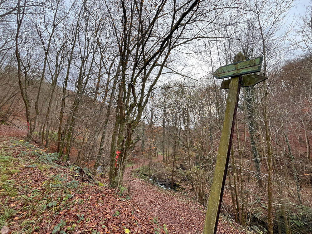 Natural Sportshub Koblenz