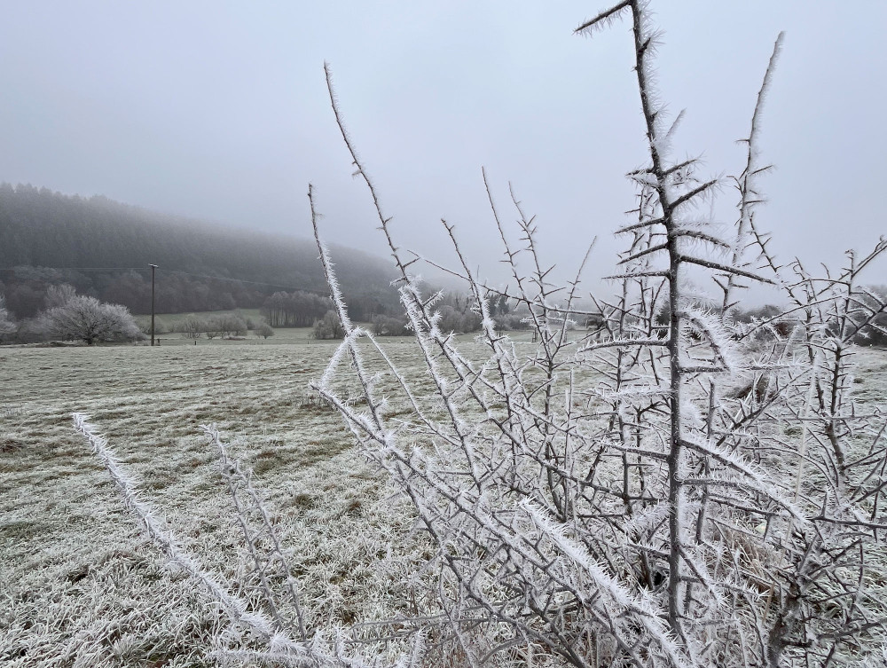 Natural Sportshub Koblenz