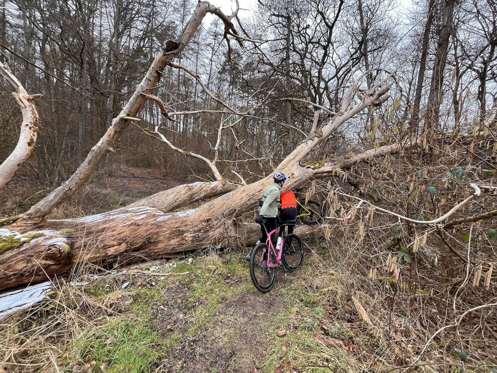 Natural Sportshub Koblenz