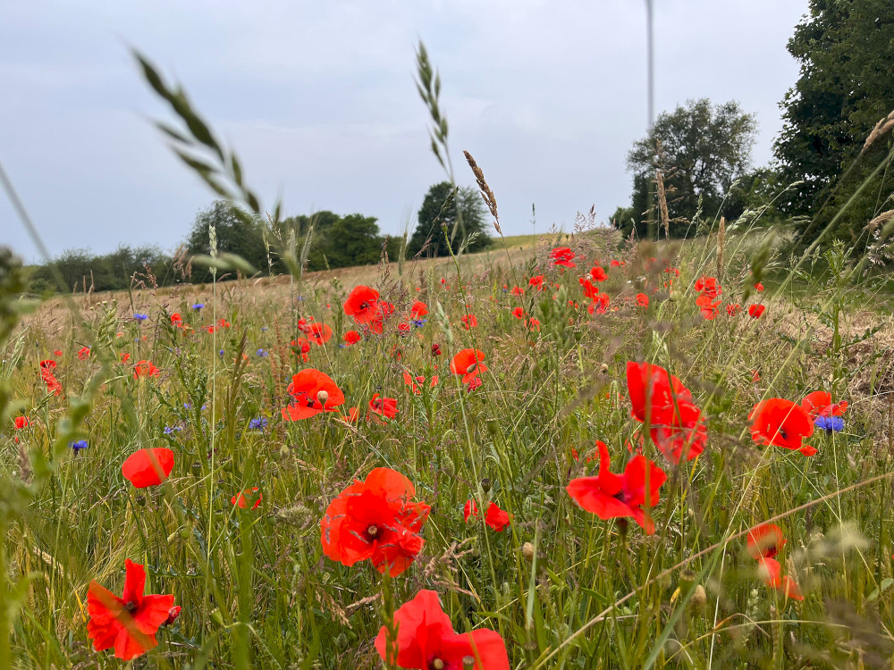 Natural Sportshub Koblenz