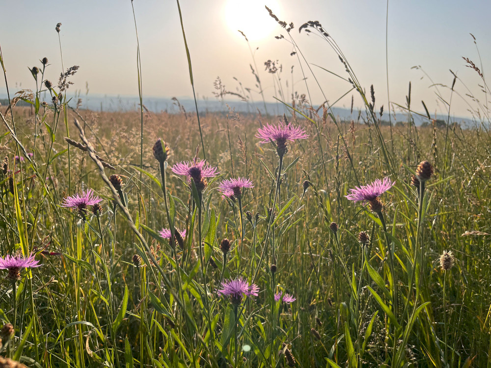 Natural Sportshub Koblenz