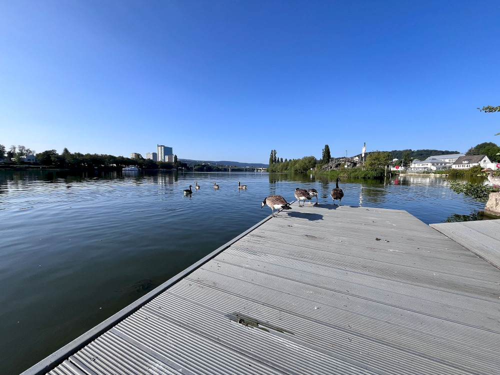 Natural Sportshub Koblenz