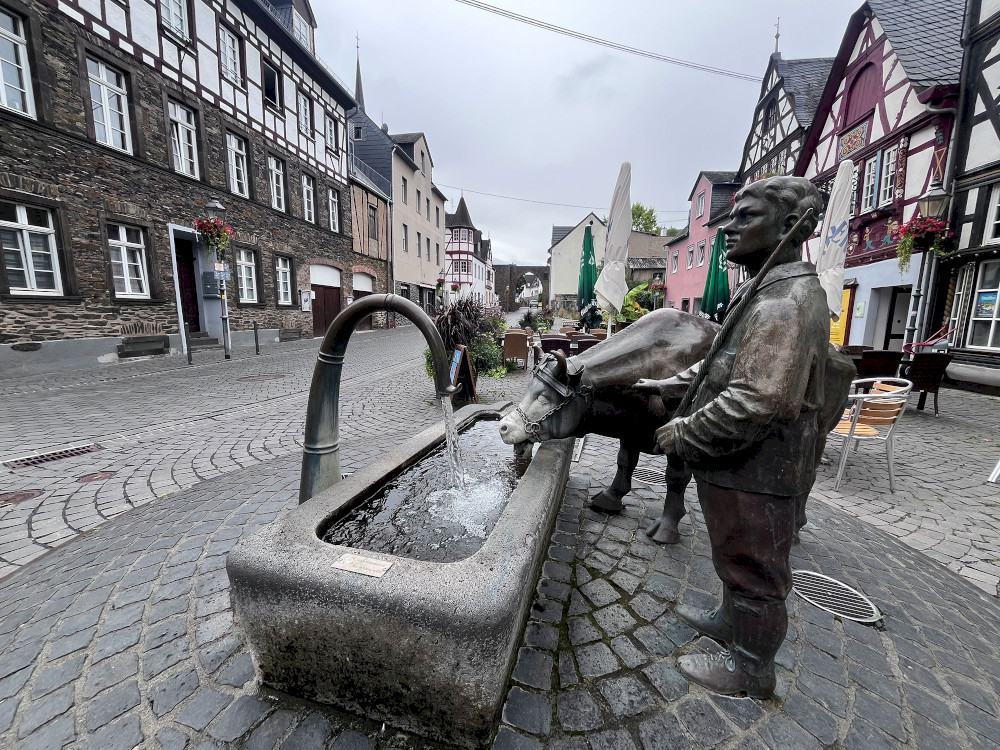 Natural Sportshub Koblenz