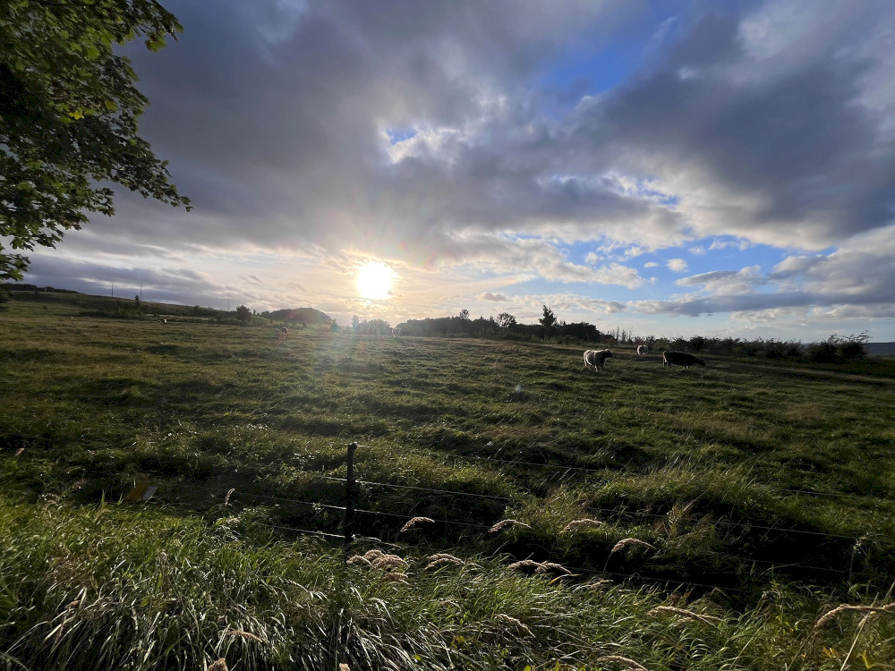 Natural Sportshub Koblenz