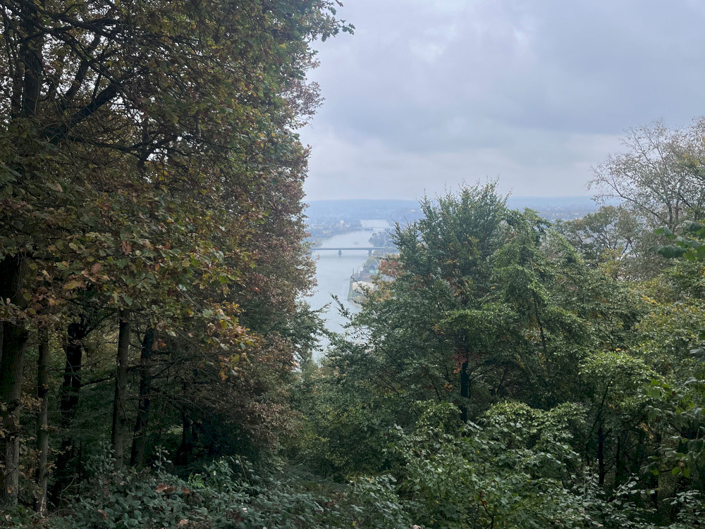 Natural Sportshub Koblenz